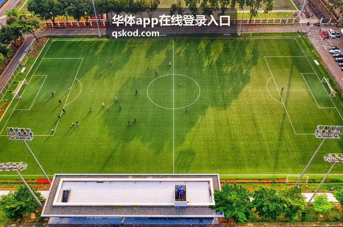 华体app在线登录入口登录密码强度检查说明