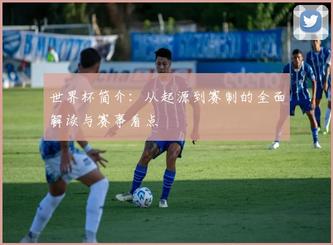 世界杯简介：从起源到赛制的全面解读与赛事看点