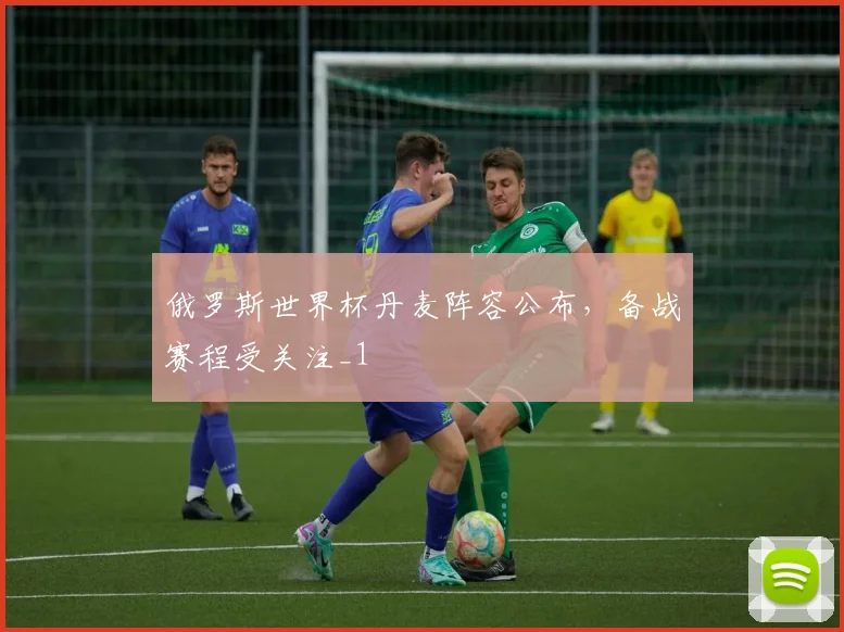俄罗斯世界杯丹麦阵容公布,备战赛程受关注_1