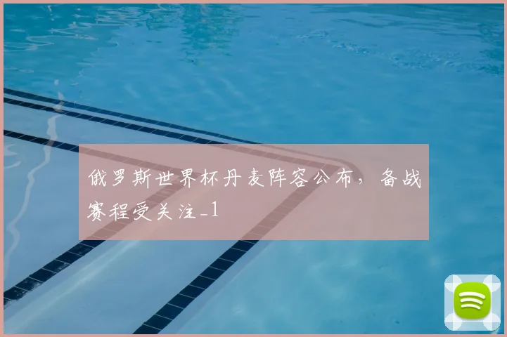 俄罗斯世界杯丹麦阵容公布，备战赛程受关注_1