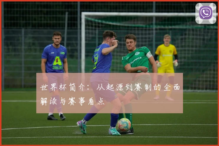 世界杯简介：从起源到赛制的全面解读与赛事看点