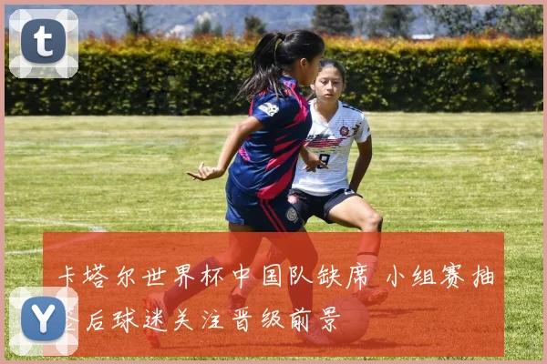 卡塔尔世界杯中国队缺席 小组赛抽签后球迷关注晋级前景