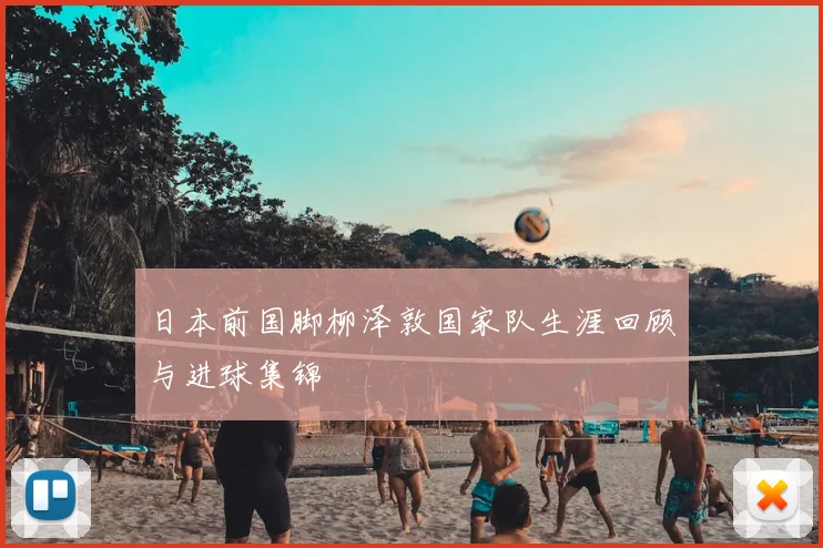 日本前国脚柳泽敦国家队生涯回顾与进球集锦