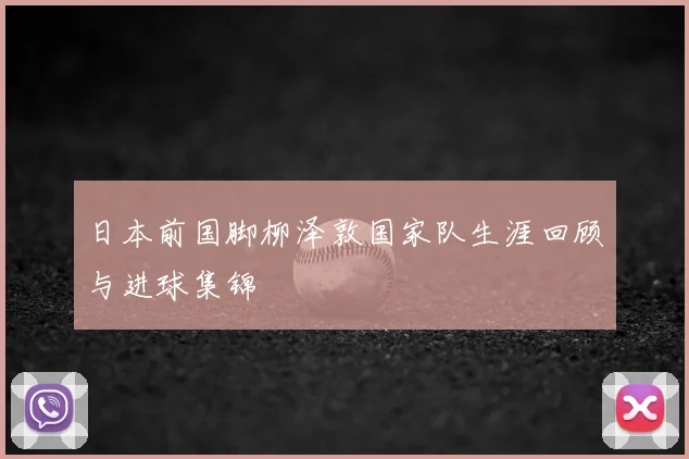 日本前国脚柳泽敦国家队生涯回顾与进球集锦