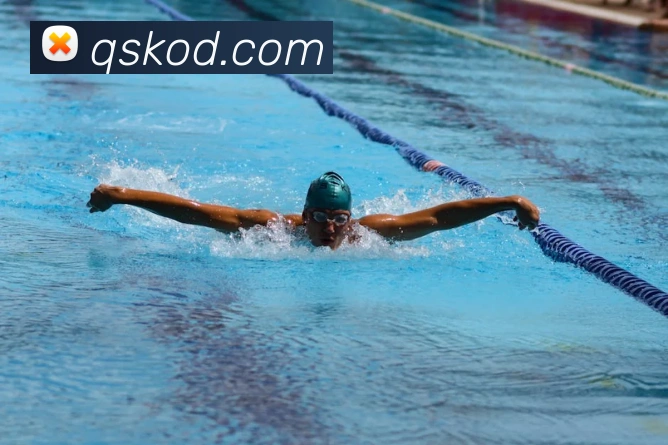 开云线上登录平台入口服务体系